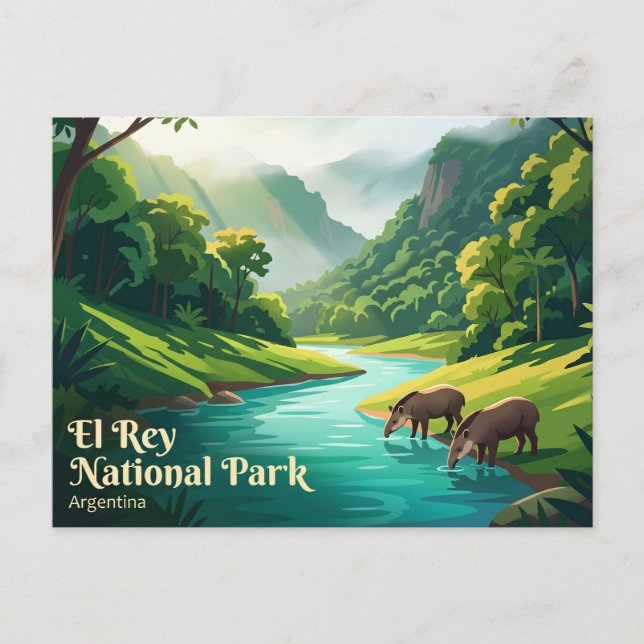 Carte Postale Parc national El Rey Argentine (Devant)