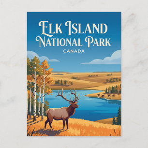 Carte Postale Parc national Elk Island Canada