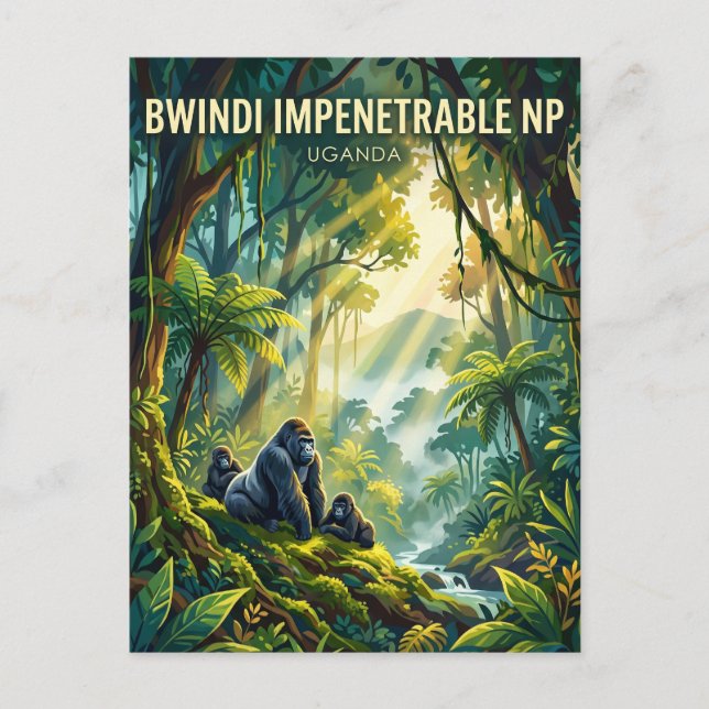 Carte Postale Parc national impénétrable de Bwindi Ouganda (Devant)