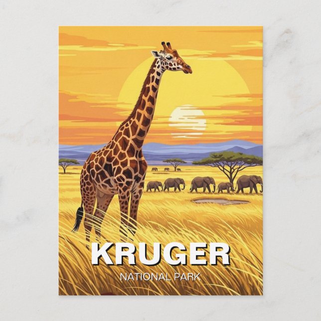Carte Postale Parc national Kruger Afrique du Sud (Devant)