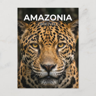 Carte Postale Parc national Madidi Bolivie