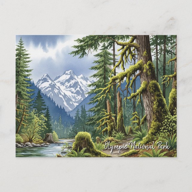 Carte Postale Parc national olympique de Washington hoforest (Devant)