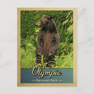 Carte Postale Parc national olympique Ours Vintage