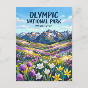Carte Postale Parc national Olympique Washington