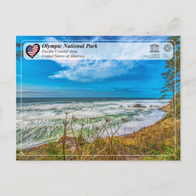 Carte Postale Parc national olympique - Zone côtière du Pacifiqu (Devant)