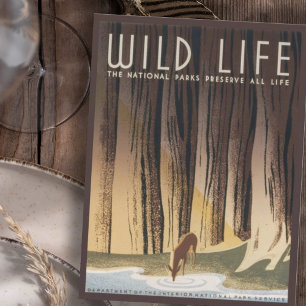Carte Postale Parc national vintage Retro Grand Wild Life