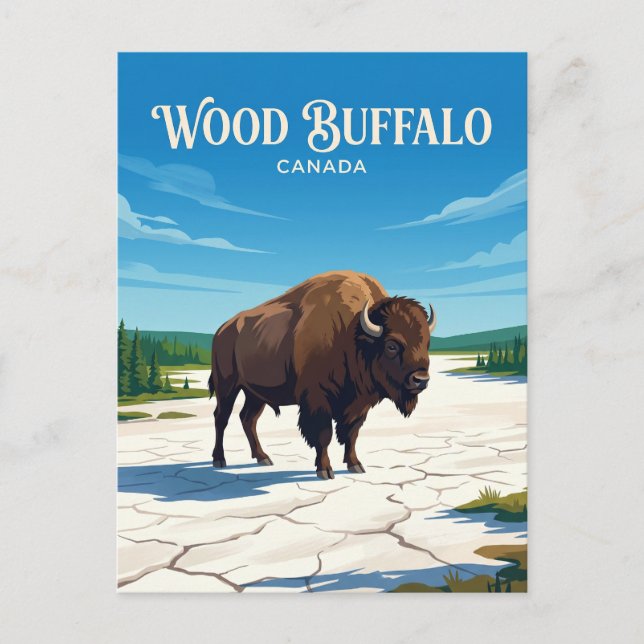 Carte Postale Parc national Wood Buffalo Canada (Devant)