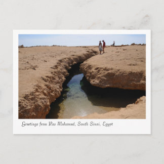 Carte Postale Parc naturel de Ras Mohamed, Sinaï, Egypte