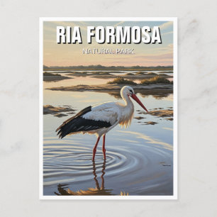 Carte Postale Parc naturel de Ria Formosa Portugal Travel