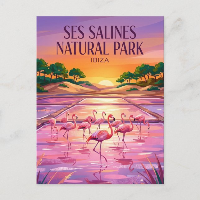 Carte Postale Parc naturel de Ses Salines Espagne (Devant)