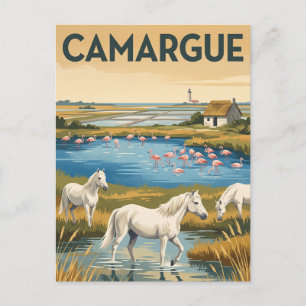Carte Postale Parc naturel régional de Camargue France