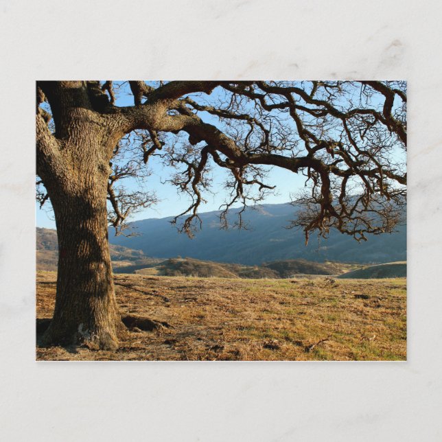 Carte Postale Parc régional de Del Valle, Livermore, CA (Devant)