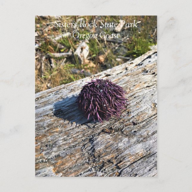 Carte Postale Parc Rock State de Sisters (Devant)