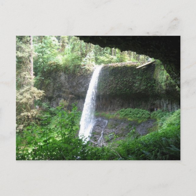 Carte Postale Parc Silver Falls (Devant)
