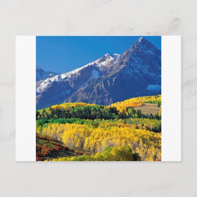 Carte Postale Parc Sneffels Uncompahgre Forest Colorado (Devant)