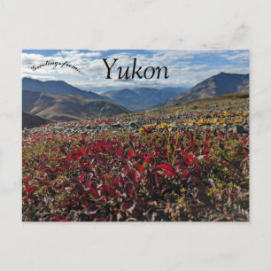 Carte Postale Parc territorial Tombstone Dawson Yukon Canada