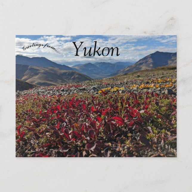 Carte Postale Parc territorial Tombstone Dawson Yukon Canada (Devant)