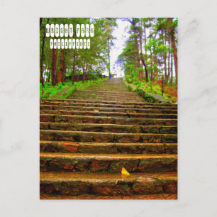 Carte Postale Parc Wright de Baguio