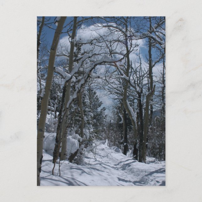 Carte Postale Parcours couvert de neige à travers les Rocheuses (Devant)