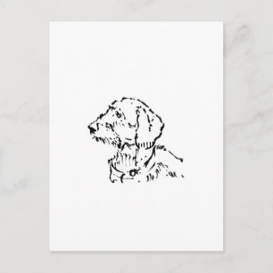 Carte Postale Parent de chien teckel à poil dur