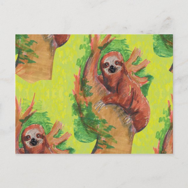 Carte Postale paresseux dans l'arbre (Devant)