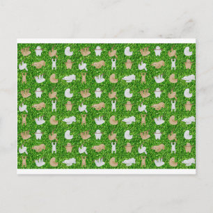 Carte Postale paresseux drôles