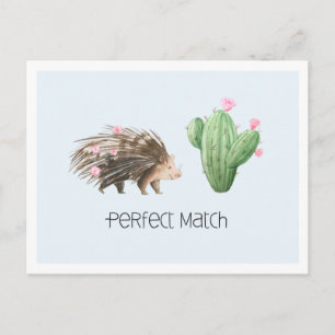 Carte Postale Parfait accord   Amour de porc-épic et de cactus m