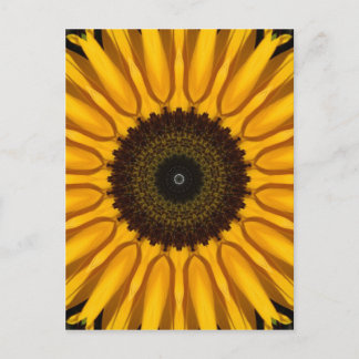 Carte Postale Parfait tournesol