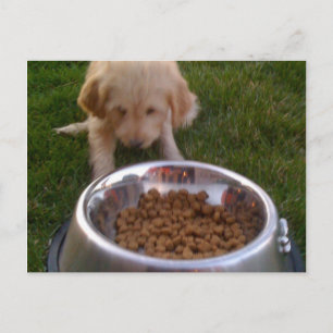 Carte Postale Parfois, il est difficile de répondre à vos attent