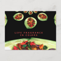 Parfum de vie en potpourri couleur