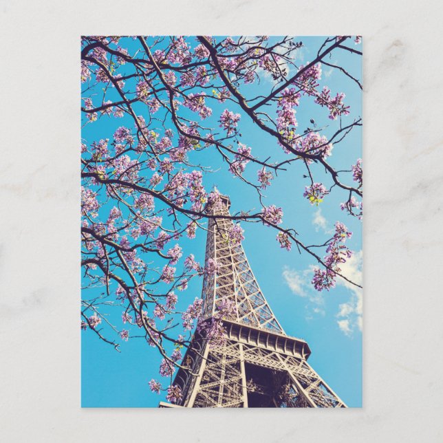 Carte Postale Paris Tour Eiffel fleurit en Printemps (Devant)