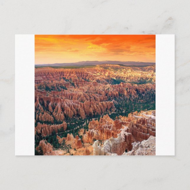 Carte Postale Park Bryce Canyon Utah (Devant)