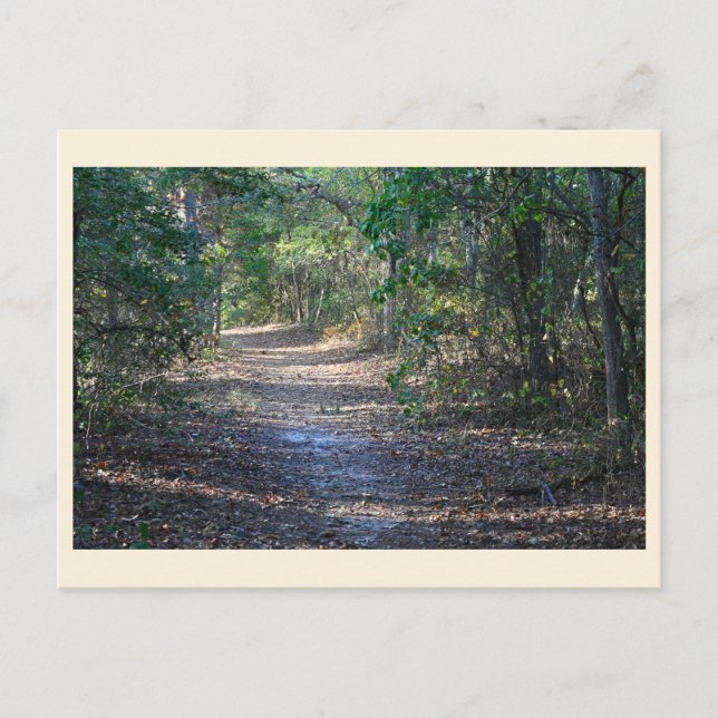 Carte postale Park Path (Devant)
