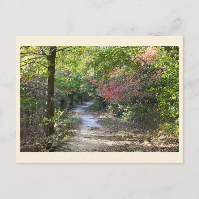 Carte postale Park Path (Devant)