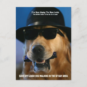 Carte Postale Parle Pour Le Chien Qui Marche Sans Leash Sénateur