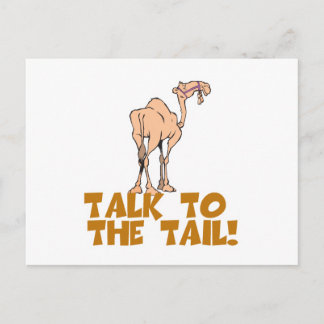 Carte Postale Parlez au Tail Camel