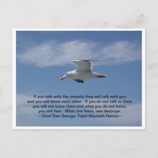 Carte Postale Parlez avec les animaux (Devant)