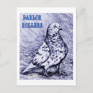 Carte Postale Parlon Roller Pigeon