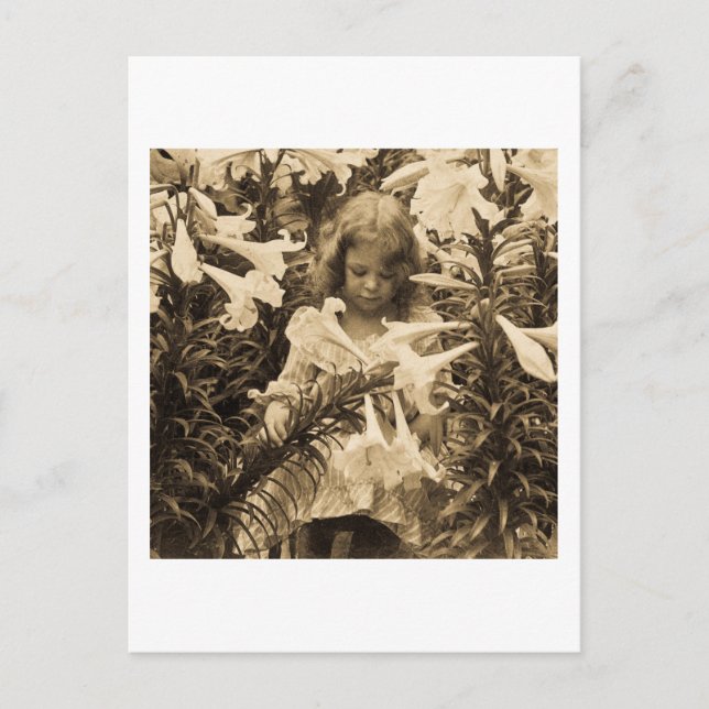 Carte Postale Parmi les Lillies - Vintage Stereoview (Devant)