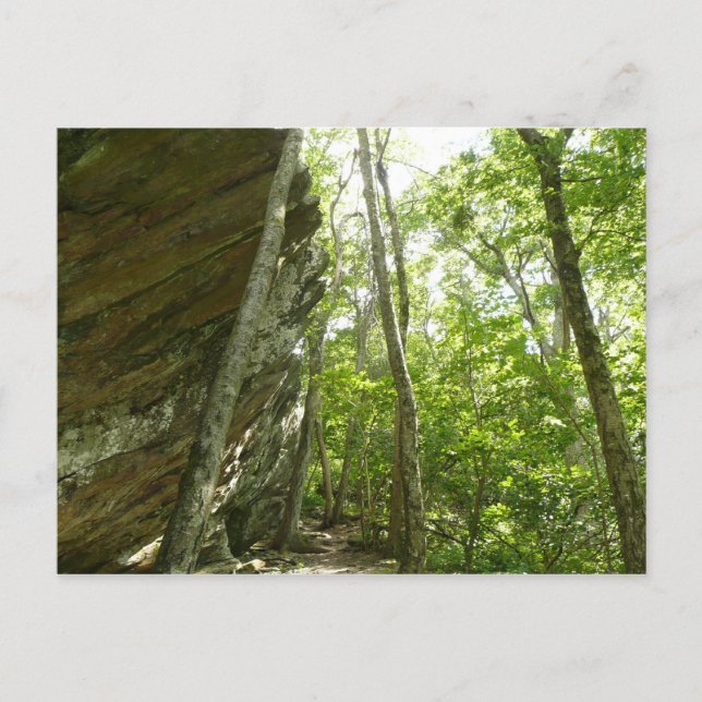 Carte Postale Paroi rocheuse de Frazier dans le parc national de (Devant)