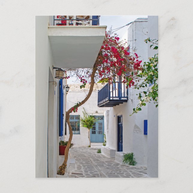 Carte Postale Paros Parikia Allée d'été (Devant)