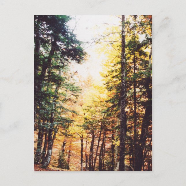 Carte Postale Parque Nacional Ordesa (Devant)