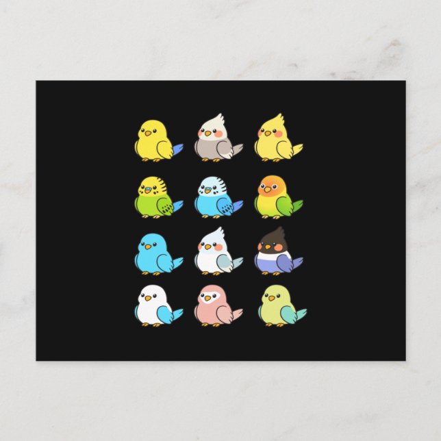 Carte Postale Parrot Enfants Oiseau Animaux (Devant)