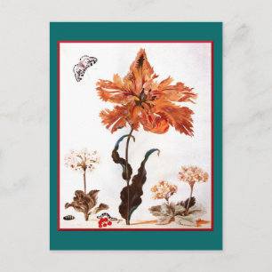 Carte postale Parrot Tulip