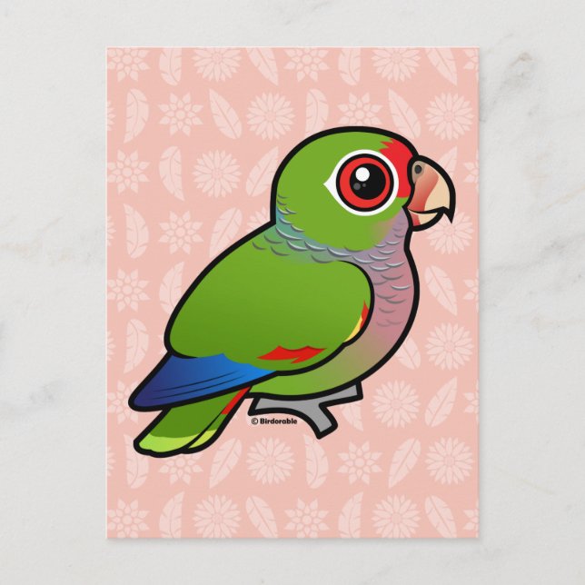 Carte Postale Parrot vinacé Birdorable (Devant)