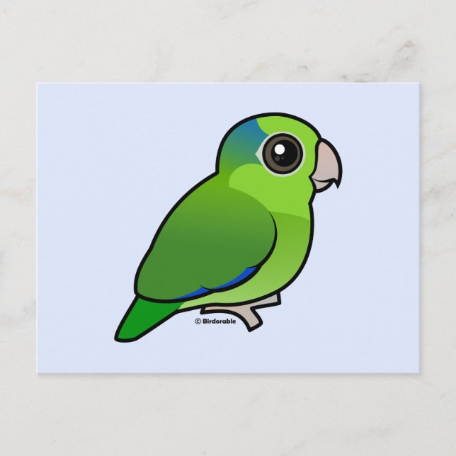 Carte Postale Parrotlet Pacifique vert (Devant)