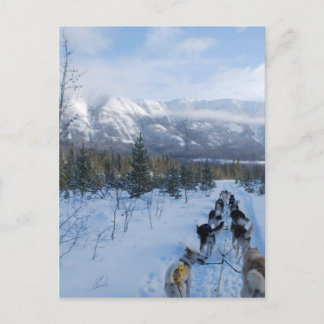 Carte Postale ParrotSleds - Paysage