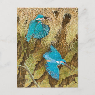 Carte Postale Partager les soins 2011