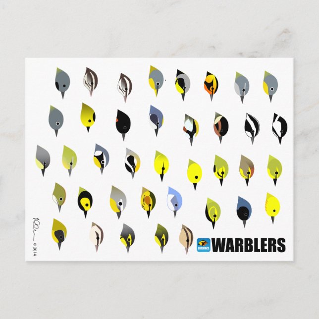 Carte postale Paruline BirdFace (Devant)