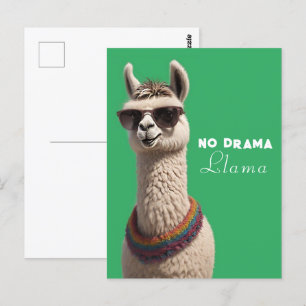 Carte Postale Pas de Drama Llama Funky Alpaca Lunettes de soleil